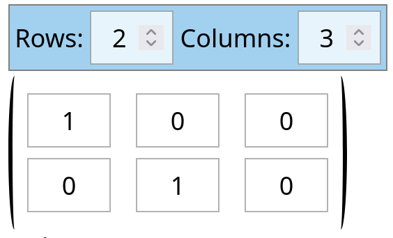 The matrix method as it appears to the student: a grid of text inputs under a pair of boxes to set the number of rows and columns.